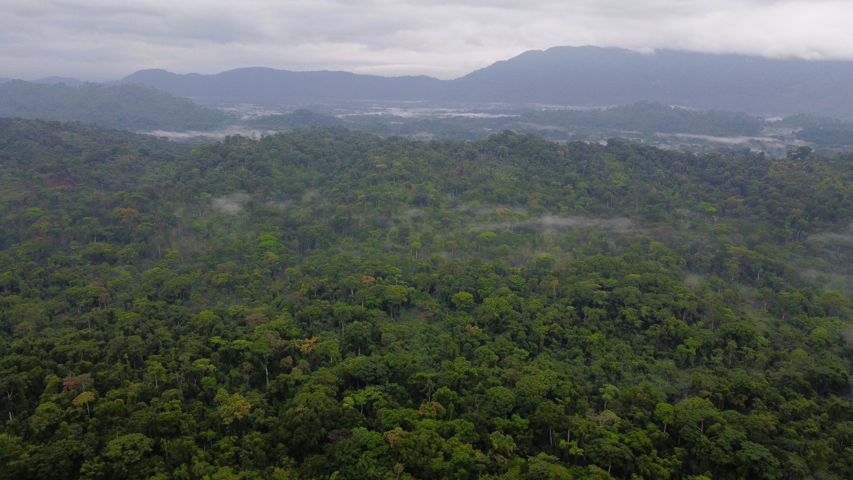 River winding through a lush green landscape